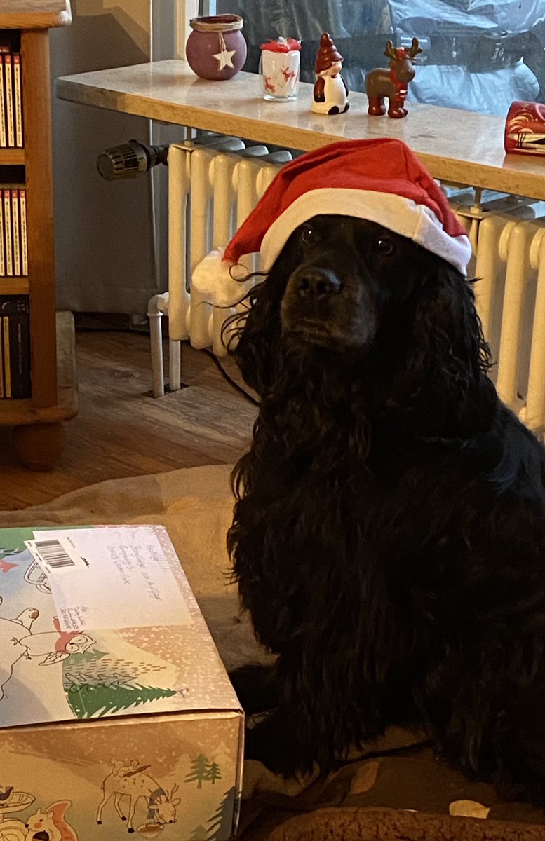 WL_Anja's tweet photo. @Rocky10586118 #fhww20

Lieber Rocky, ganz herzlichen Dank für die tollen Leckereien und den Geier Gustav (♥️). Ich durfte auch schon einen Hähnchenstreifen. Meine 👩👩 sagen auch Danke für die Süßigkeiten https://t.co/BO6Er3T4qa