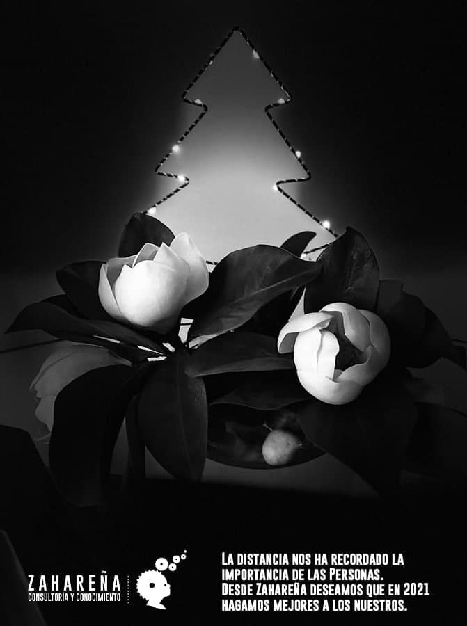 La distancia nos ha recordado la importancia de las personas.
Desde Zahareña deseamos que en 2021 hagamos mejores a los nuestros.