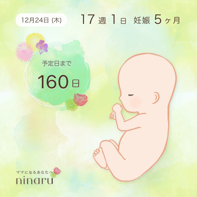 妊娠17w Twitter Search Twitter