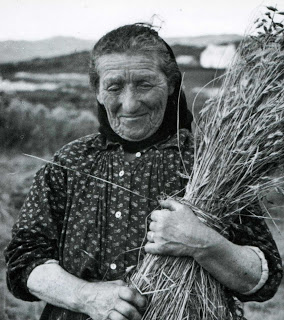 Also I think that Diduch explains a lot of things about the end of the harvest rituals, the last sheaf rituals, and winter sheaf rituals...It is now obvious why the Irish called the last harvested sheaf of wheat "Cailleach" (Old Woman, Grandmother)  http://oldeuropeanculture.blogspot.com/2020/02/the-old-woman-of-mill-dust.html