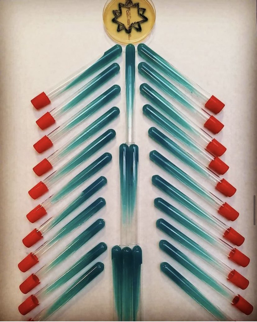 100cia_'s tweet image. Merry Christmas 🎄

Ig: kbimz_upp y the_agar_artist