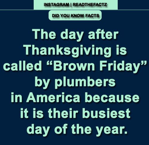 The day after Thanksgiving is called “Brown Friday” by plumbers in America because it is their busiest day of the year.

#facts #factsonly #FactsMatter #readthefactz #readthefacts #FactsNotFear #truth #history #latestfacts #factsormyths #Thanksgivingfacts #brownfriday