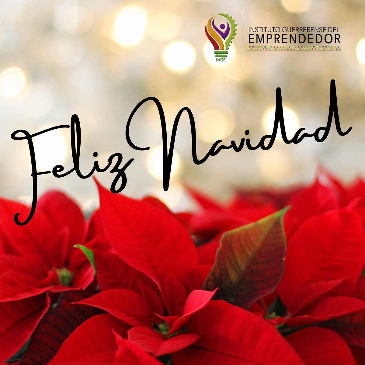 INGE_OPD's tweet photo. El equipo del Instituto Guerrerense del Emprendedor les desea una feliz Noche Buena. Que la vida nos siga brindado la oportunidad de vivir.

Felicidades 🎄🎄🎄🎄

Atentamente
Lic. Juan Bernardo Campos Zubillaga
@berval0804 https://t.co/S1aLtTdGNA