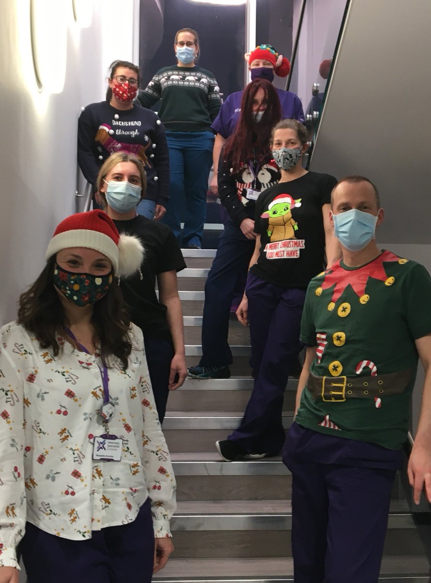 VetSpecScotland's tweet photo. Our fantastic team recently had a socially distanced Christmas event in the hospital with Secret Santa gifts, Christmas Jumper wearing (raising money for charity) and a Best (worst?) Christmas Sock competition! https://t.co/DpcJGRC6K4