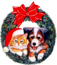 Nanci4Paws's tweet photo. https://t.co/XmM1DqgFPh