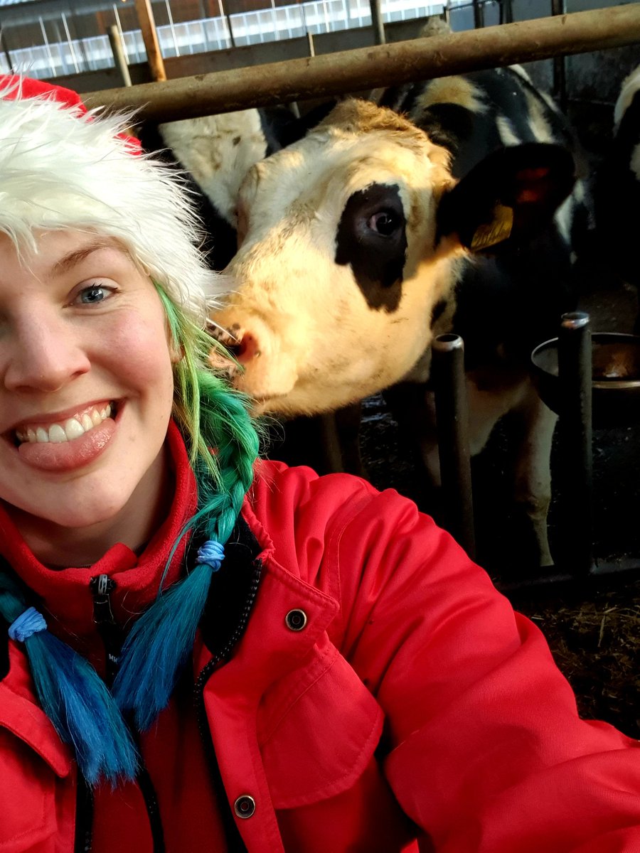 First day after maternity leave from the ladies. A perfect christmas eve! Merry Christmas-wishes from Sweden 🐄🤶❤ #youngfarmers  #farmingasusual #ceja #futurefarmers <a href="/JannesMaes/">Jannes Maes</a> <a href="/_CEJA_/">CEJA Young Farmers</a>
