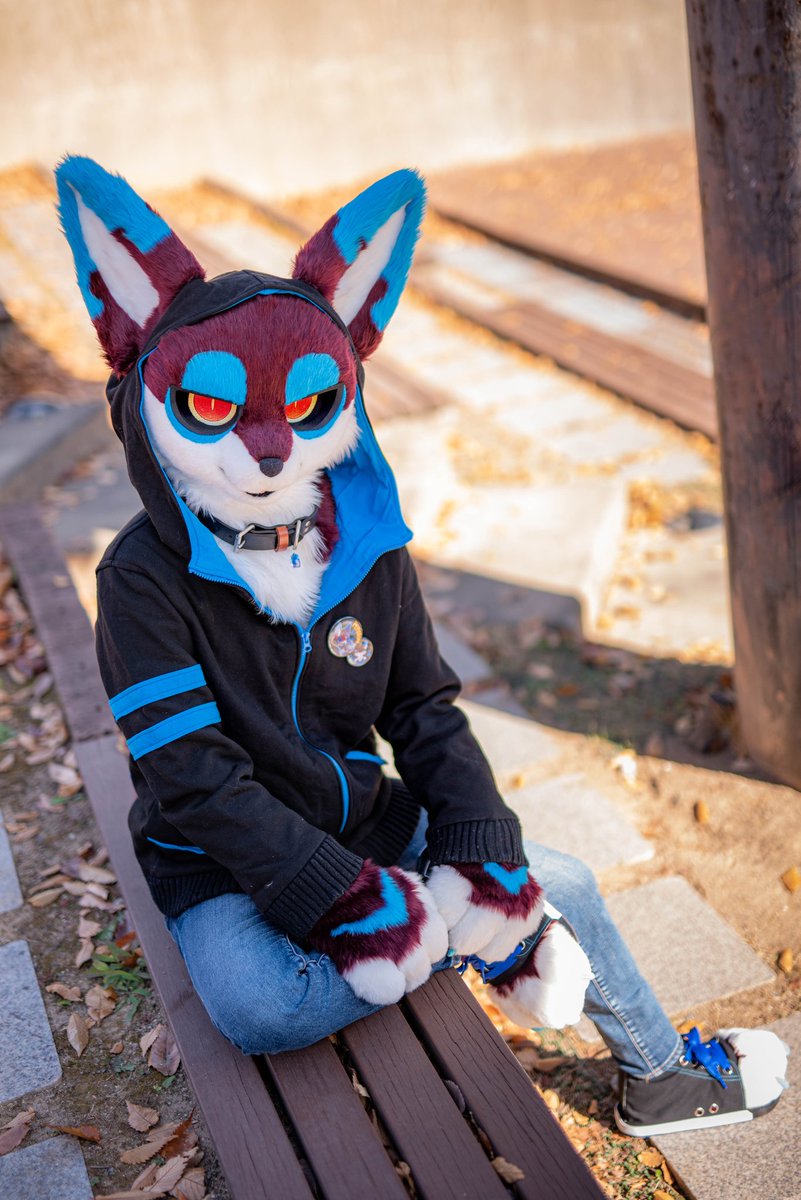 PERDION_PERDO's tweet image. 🌟

📸 Photo @rocha_0181
✂️Maker @LikeaPalette

2020.11.08(SUN)
선유도공원

#Fursuit #LikeaPalette #PERDION #PERDO #FursuitFriday