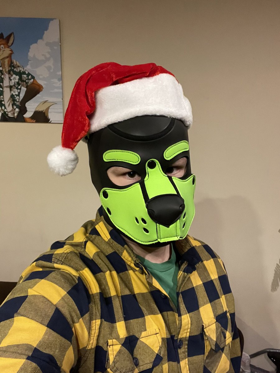 PupLisownik's tweet photo. Merry Christmas to all puppies ❤️ https://t.co/PnwkGpYQns