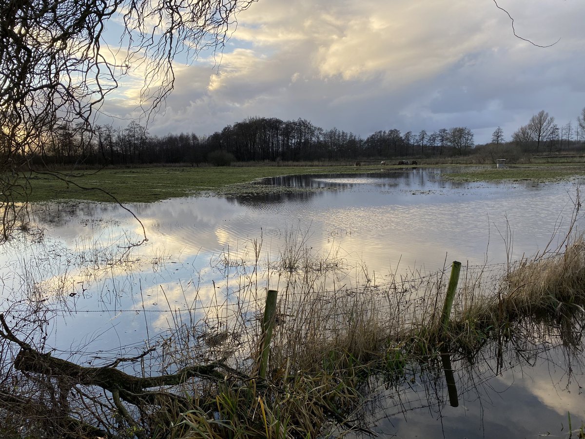 Rondje Benedeneind, prachtig met zon en wolken. Het had duidelijk veel geregend #ditisveenendaal