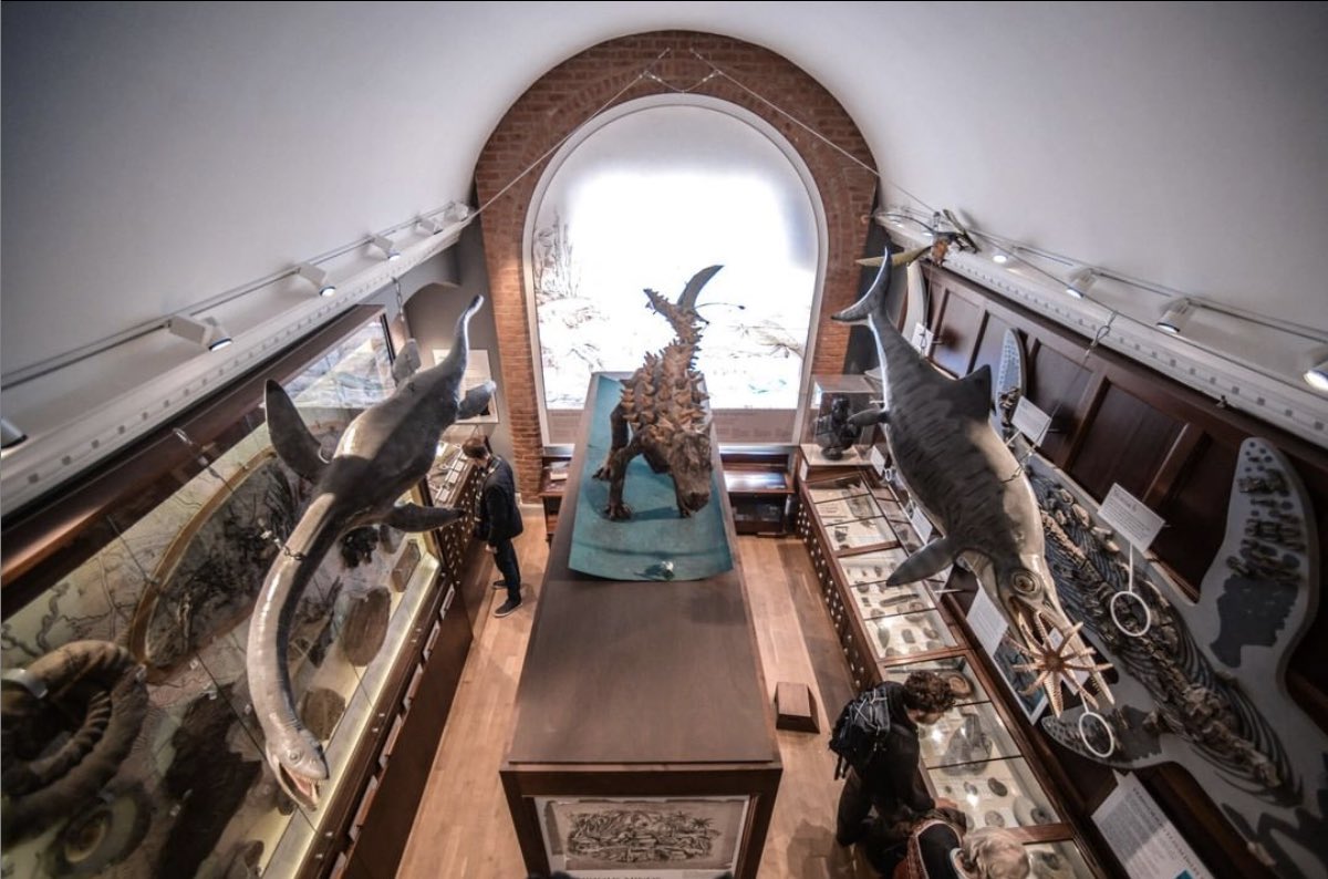 Due to recent changes in the Corona Virus restrictions we will be closed until 3 Feb. We look forward to welcoming visitors back as soon as possible in 2021. Our fossil walks will continue to take place (book online) and we’ll continue to bring the museum to you on social media.