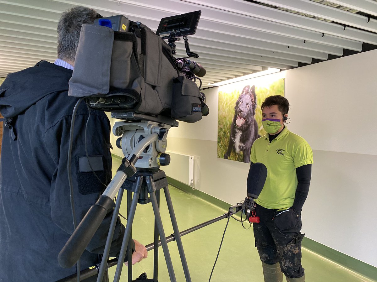BhamDogsHome's tweet photo. Tune in to @ITVCentral today at 4:25 for some happy news which will make you smile this Christmas Eve!!
#ruffyear #bdh #birminghamdogshome https://t.co/ywftWbo4lv