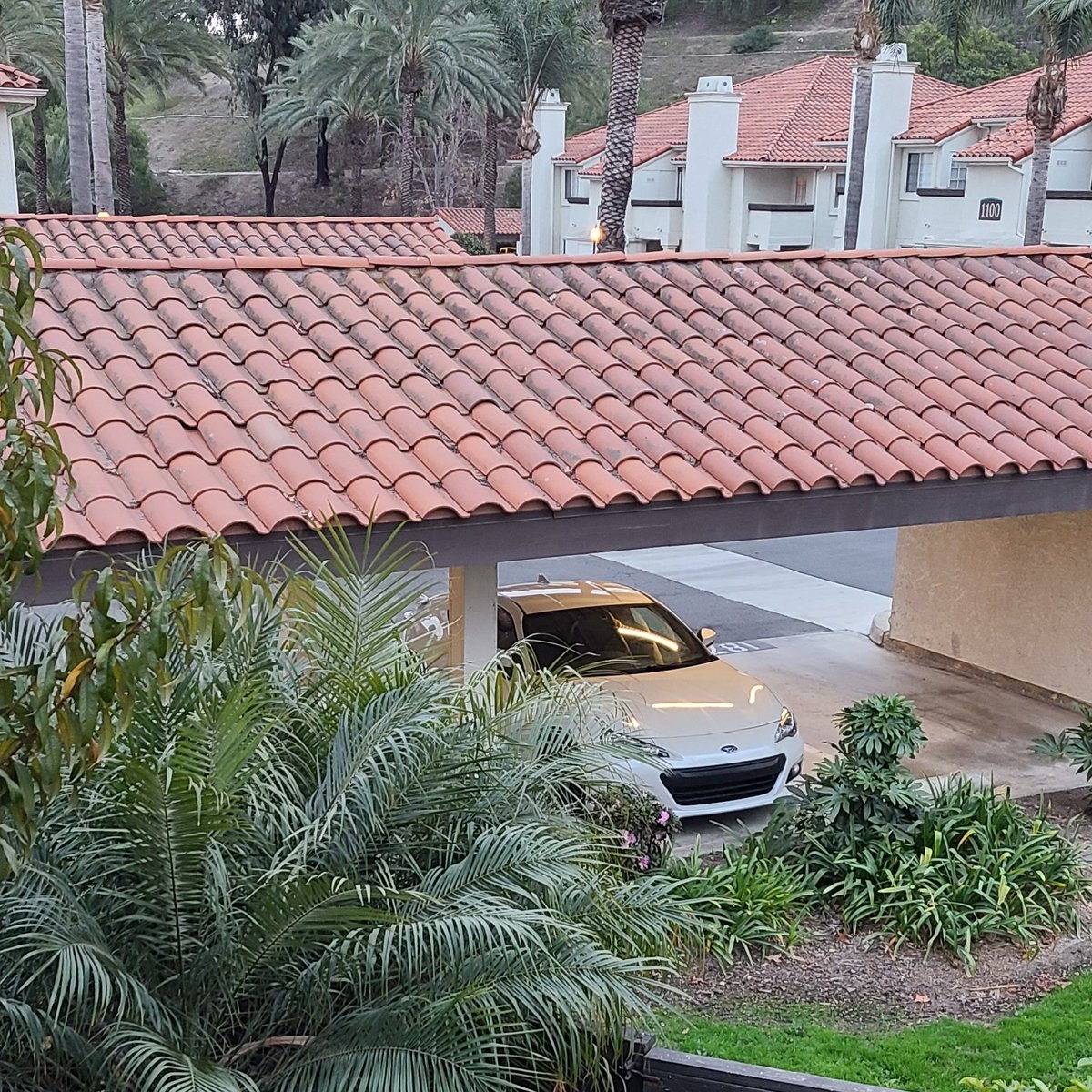 siren_ity's tweet image. Bucki seems happy here.  I 🖤 my #BRZ
#6speed #driftmachine