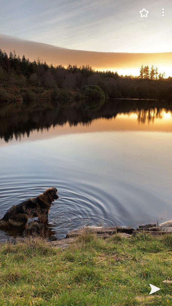 Happy Christmas all.