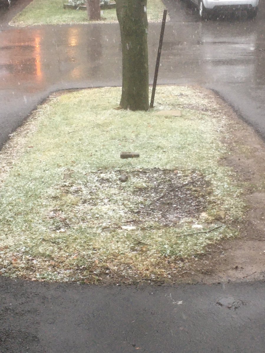NoahYeomans's tweet photo. Snow starting to accumulate on the grass. #onstorm https://t.co/xF5tBu7u9A