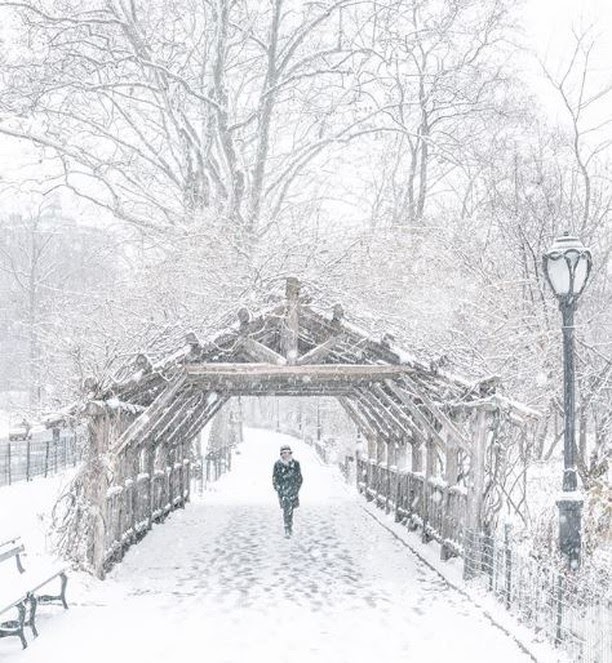 Daydreaming of a snowy Central Park -- Happy Holidays from HFZ Capital Group. Photo by 212sid