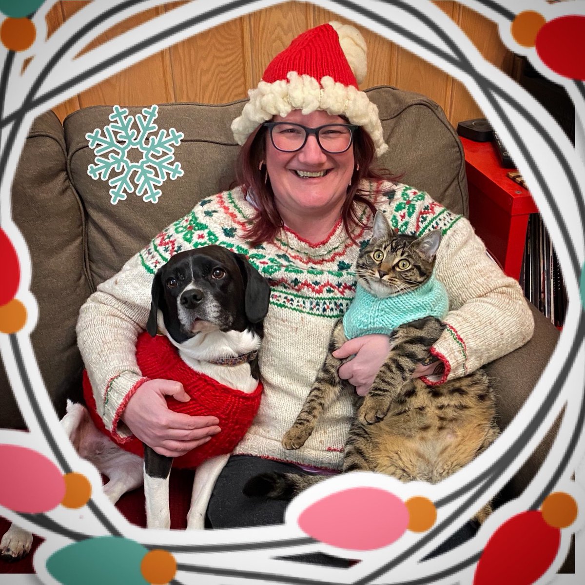 ToadSongs's tweet photo. Merry Christmas everyone. We hope you are staying as warm as we are! #catsinsweaters #Christmas https://t.co/VLSfcyilxu