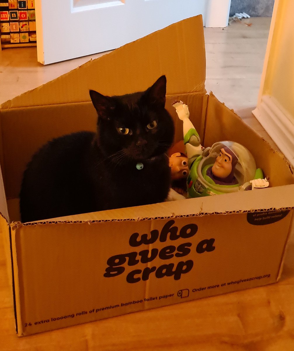 MKTechGirl's tweet photo. A Merry Christmas from Posy, Woody &amp; Buzz! Think her expression perfectly matches the branding on the box https://t.co/SnIwgE8ZPa