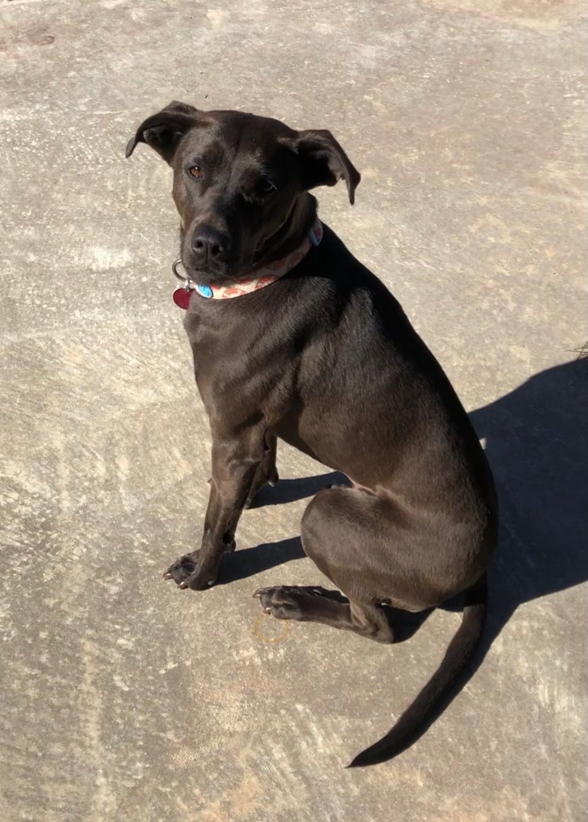 Shannon Watts tweet media