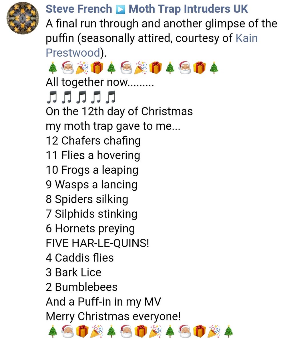 Elaineeepoos's tweet photo. Over on #MothTrapIntruders Facebook group, @MothduJour and @Danasawus did a brill job of a 12 days of Christmas intruders (including the group's Puffin mascot in his festive best). Join us for fun and facts here: https://t.co/31WSBmbPcb #TeamMoth #MothsMatter https://t.co/7aIZDTFux7