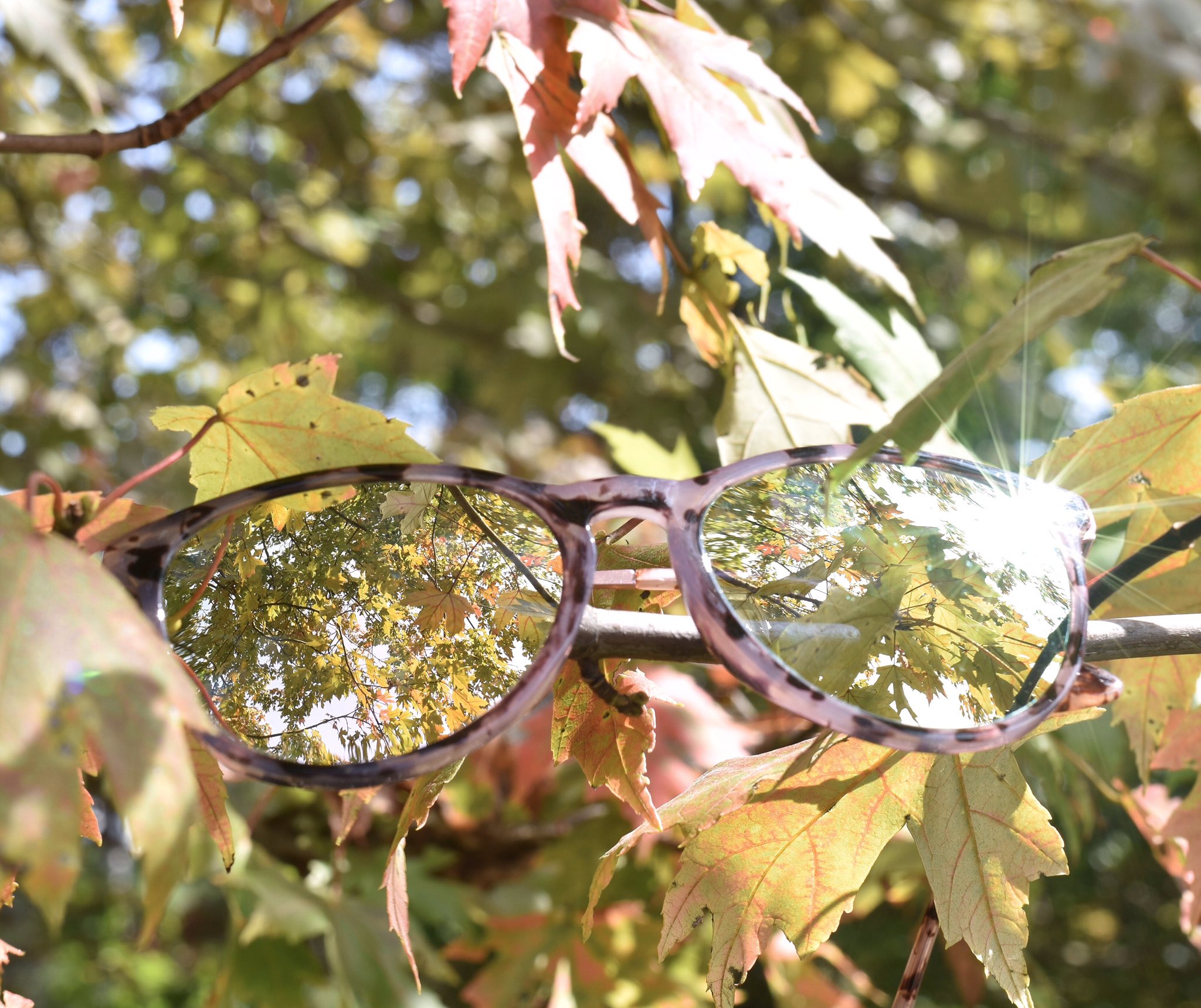 Pink tortoise cheap sunglasses