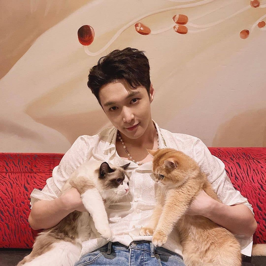 ExoLPortugal's tweet photo. #LAY [OFICIAL] 201224  Atualização do Lay (@layzhang) no Instagram. 

"Feliz Natal a todos! Desejo-vos um dia seguro e feliz!🎄🎄"

#ZhangYixing #EXO #EXOPORTUGAL #엑소 @weareoneEXO https://t.co/VbicnCvHrj