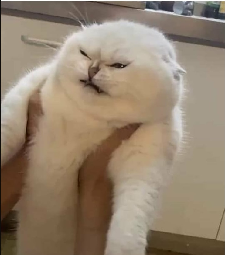 DANYAFROST's tweet photo. Одногруппник выполнял в ДЗ анализ моего логина по открытым источникам. Он нашел мое предположительное фото ахах https://t.co/VMBViXU9YT