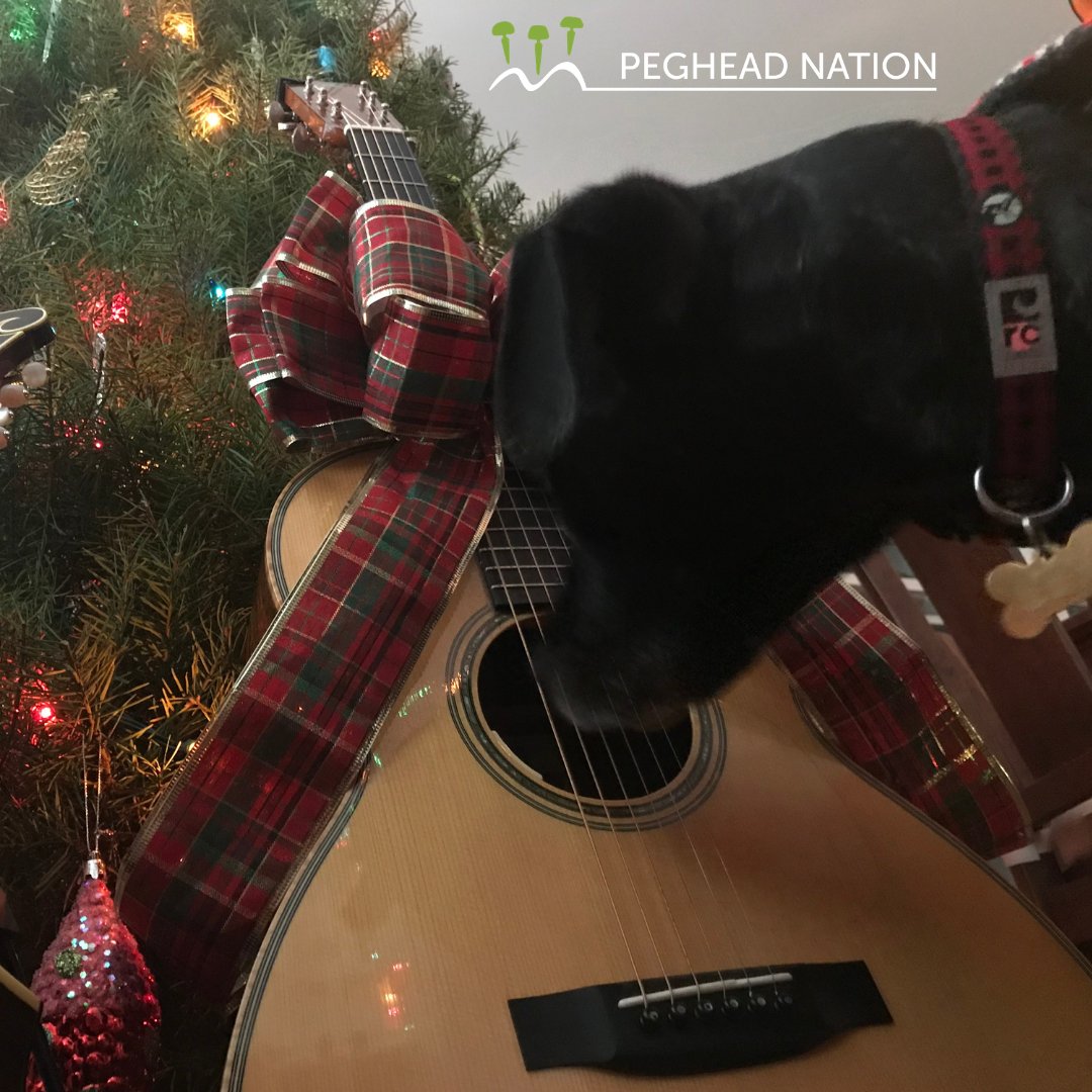 We hope you find peace, love, tunes, and all the things you're hoping for this holiday season. Happy Holidays from Peghead Nation! #merrychristmas #happyholidays #guitar #mandolin #banjo #fiddle #dobro #uprightbass #ukulele #christmasdog #pegheadnation