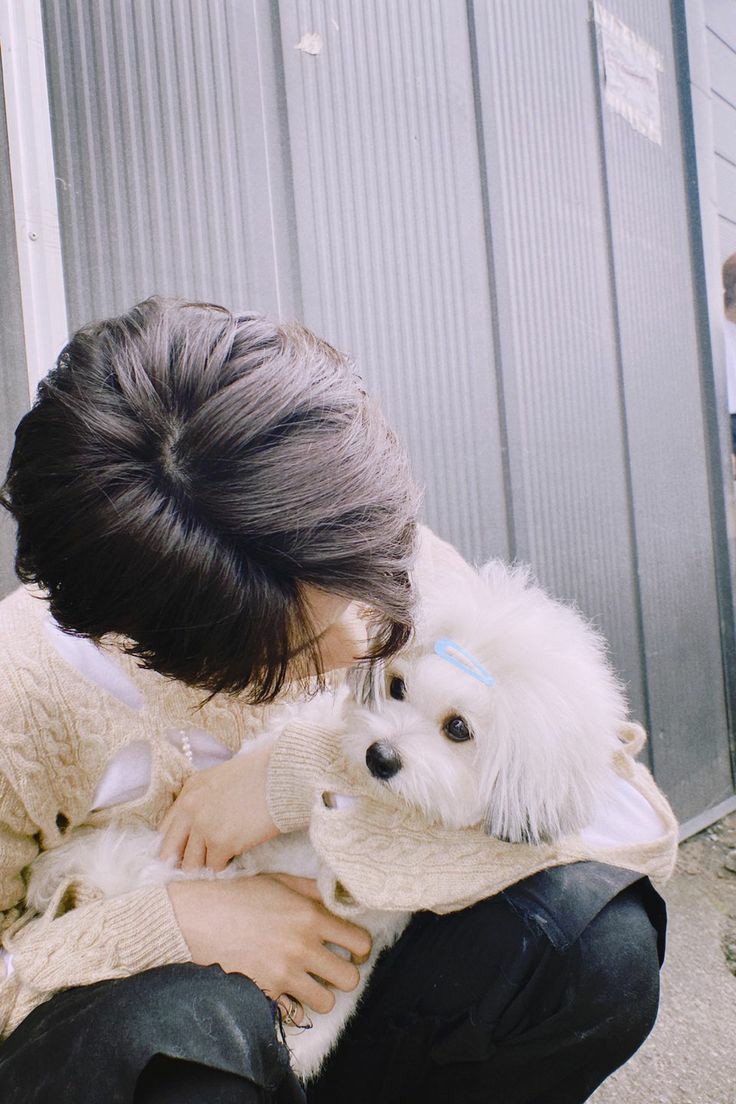 minghao with puppies: a thread 