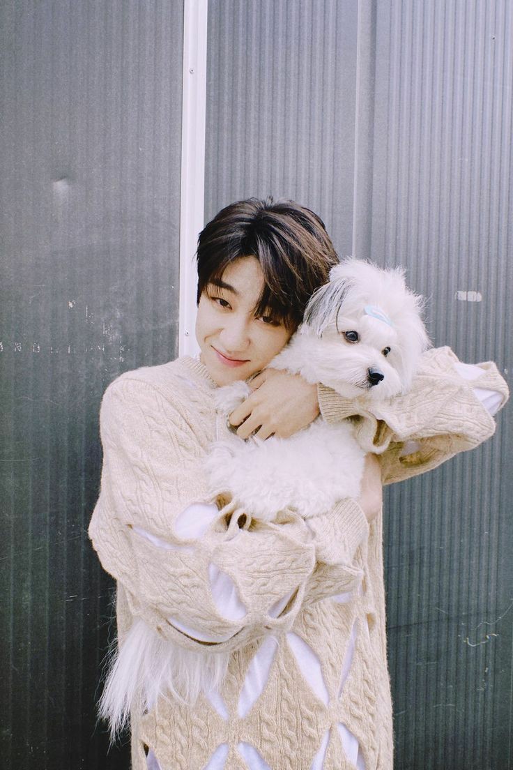 minghao with puppies: a thread 