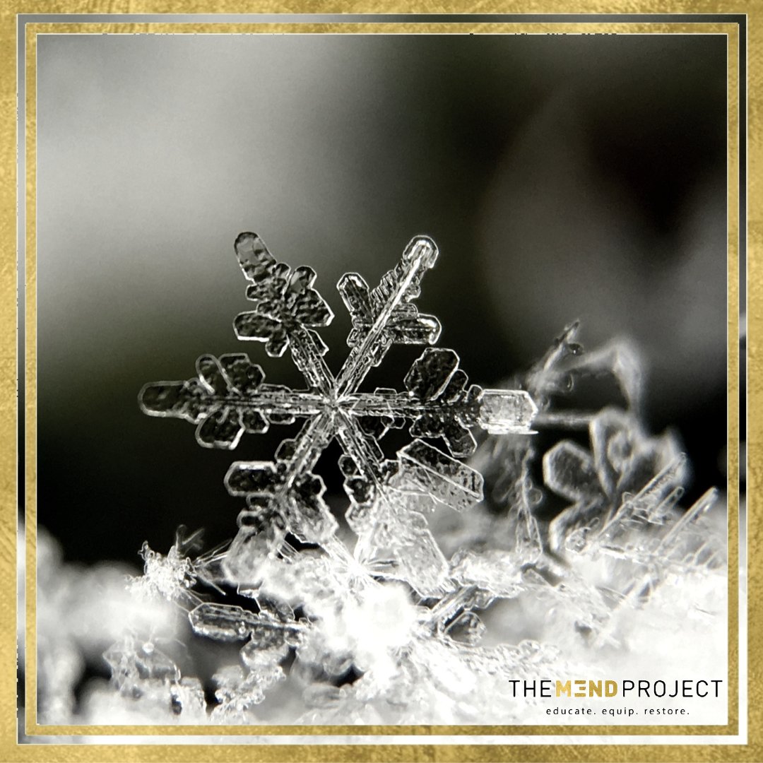 TheM3NDProject's tweet photo. During this holiday season remember you are as beautiful and unique as a snowflake. Treat yourself with the love and care you always deserve. ⠀⠀⠀⠀⠀⠀⠀
⠀⠀⠀⠀⠀⠀⠀ https://t.co/g3yY7kJqQ2