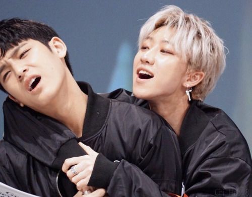 ft. Puppies and Seokmin!