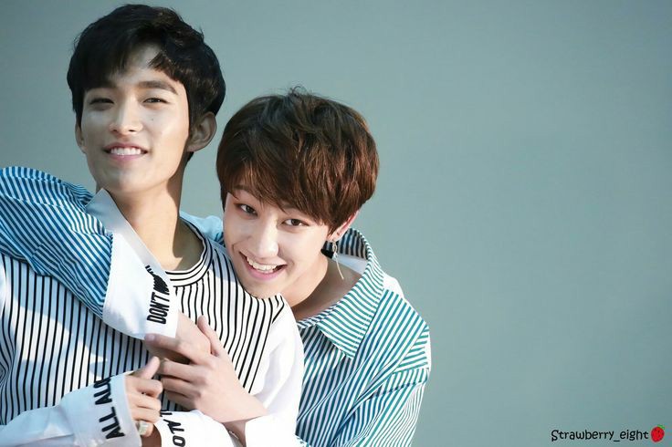 ft. Puppies and Seokmin!