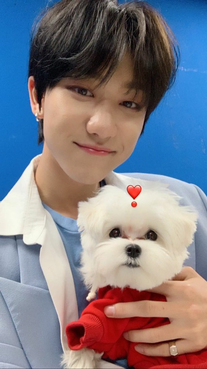 THIS IS SO CUTE IM CRYING