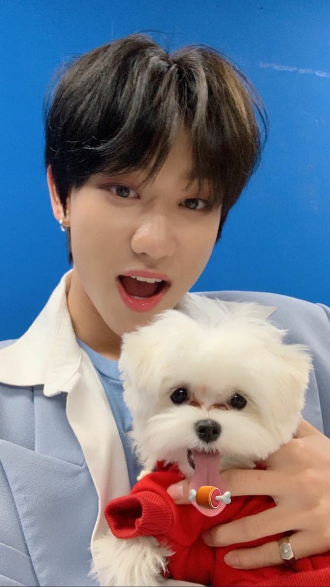 THIS IS SO CUTE IM CRYING