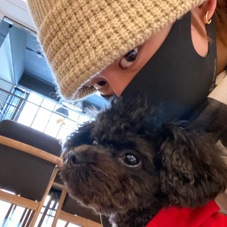 THIS IS SO CUTE IM CRYING