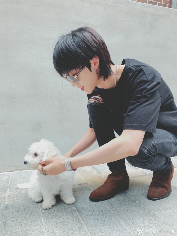 puppies aside, this haircut is the best