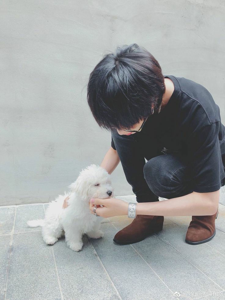 puppies aside, this haircut is the best