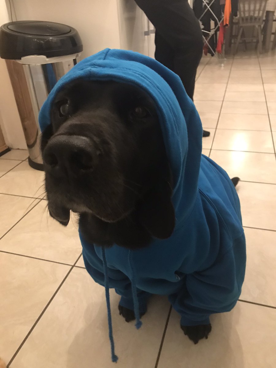 JulieAlexandra3's tweet photo. @Bailey1Cameron Tell your mum we are all doing good here - your cousin Bobby is keeping warm today as it’s been snowing - merry Christmas as you can see 🎄 https://t.co/Pulm87Dyd4