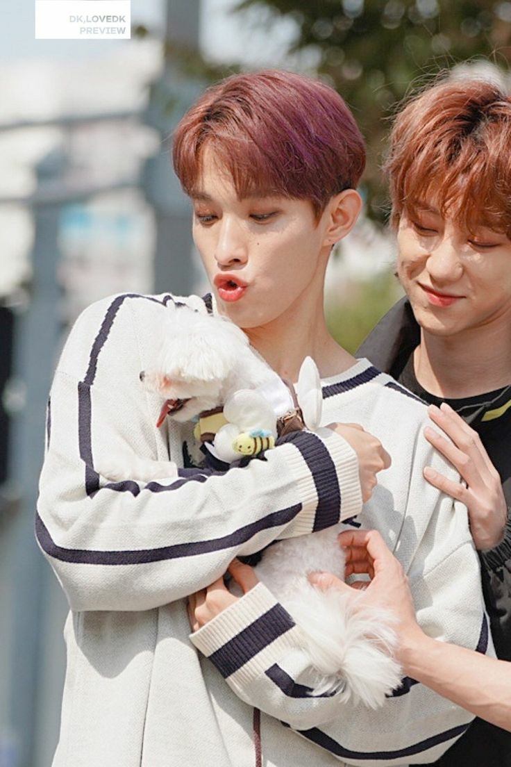 ft. Puppies and Seokmin!