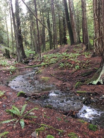 Some fresh air, a bit of exercise, tire your kids out a bit, and get your whole family out of the house safely and responsibly. Your physical and mental health are SO important this time of year.