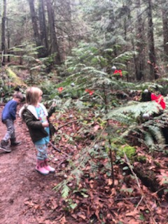 An extra bonus this time of year? Some interesting folks decorate trees in the woods - very festive and we are here for it. p.s. yes, I let my six year old go hiking in her pyjamas - it's #2020, and December, and Sunday. 
