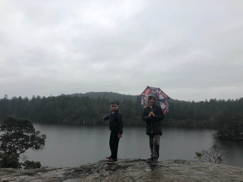 Merry Christmas! I hope its full of joy and light!... that said, I know winter break with kiddos and without a village is tough. So a few more ideas! Go hiking. Rain or shine (but maybe not ice) - go hiking.  #yyj  #covidparenting  #getoutside  #westcoasttbestcoast  https://twitter.com/GraceALore/status/1341184104188932096