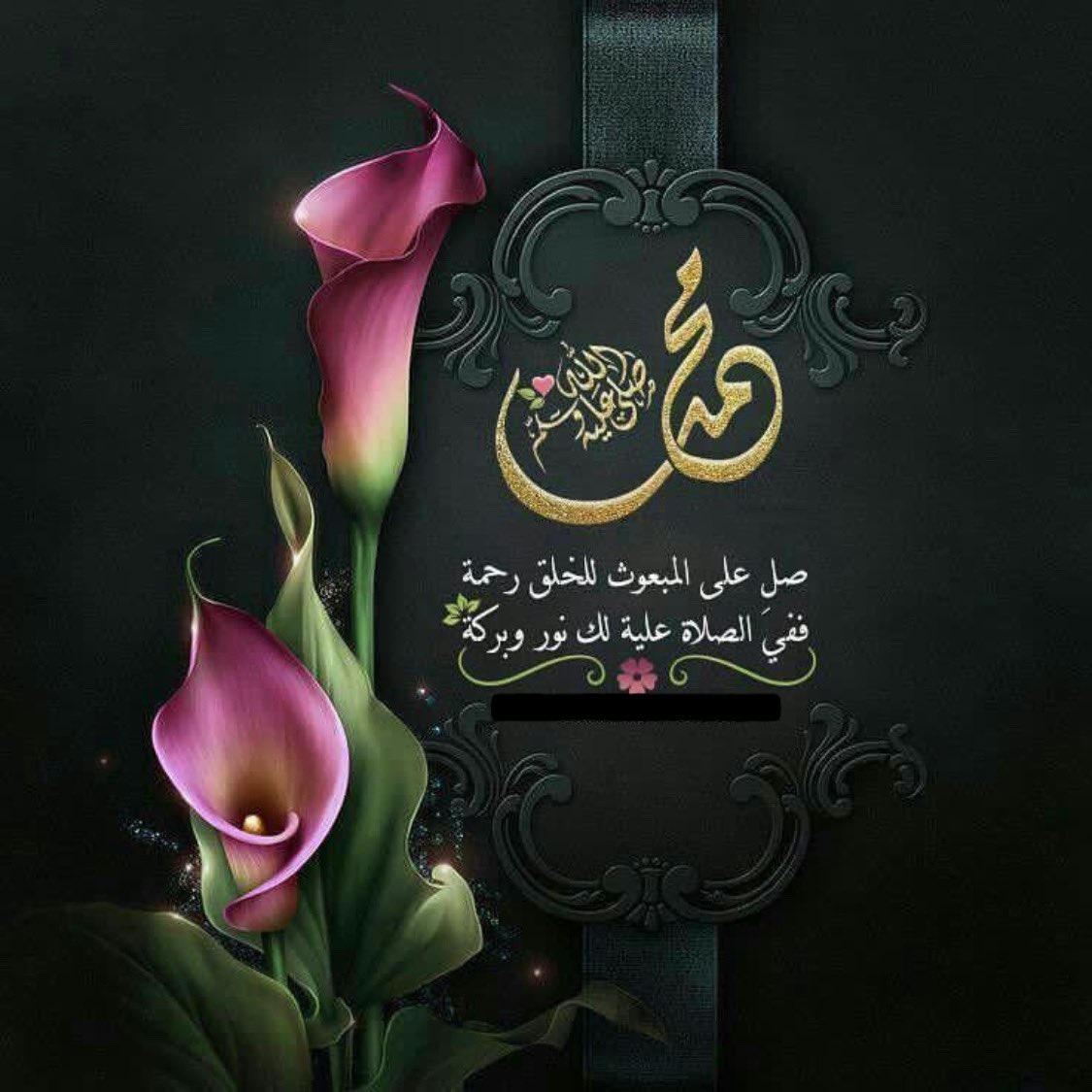 ‏﮼بياض ﮼الثلج tweet media