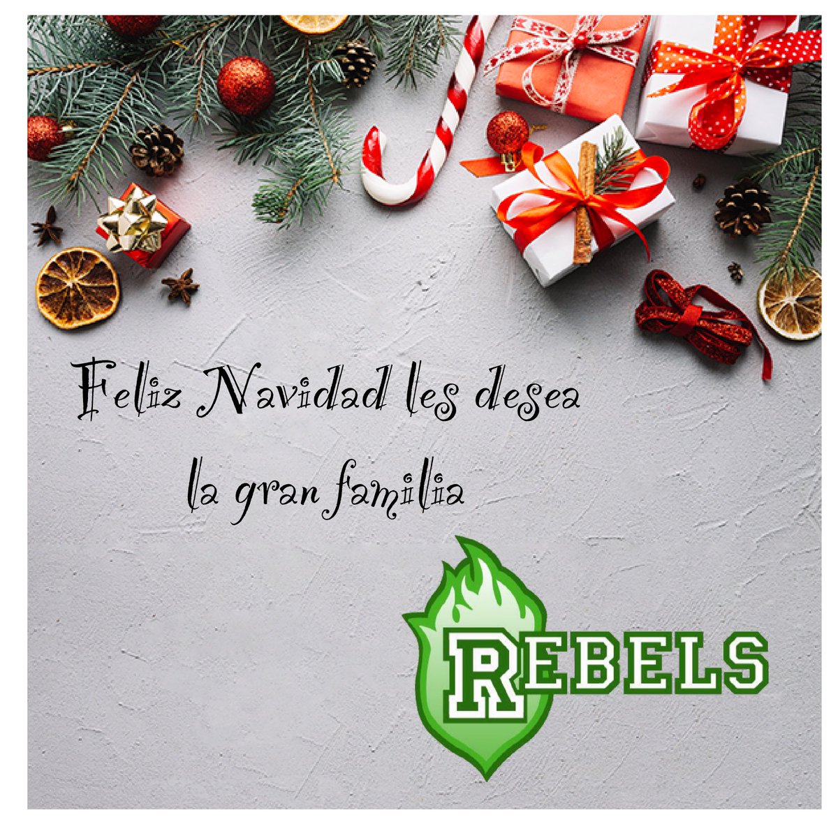 RebelsPtyFlag's tweet image. En esta navidad nuestro mayor deseo  para todos ustedes amigos es salud! Felices Fiestas!