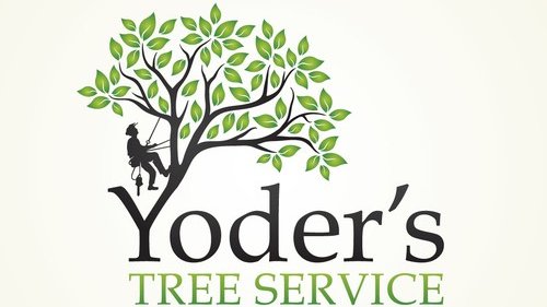 MdSohan41459855's tweet photo. My New #Logo #Design!
Looking for a #Branding #corporate #identity
Contact me: https://t.co/4VmQNK0rbp
@BlackYellow #Christmas #Durk #Santa #Trump #HappyHolidays #MerryXmassSonko #BrexitDeal #ASOSXMASEVE #SnowFlowerByV @Pochettino #FelizNatal
#shoppingstar @realDonaldTrump https://t.co/MaQnZmTUfy