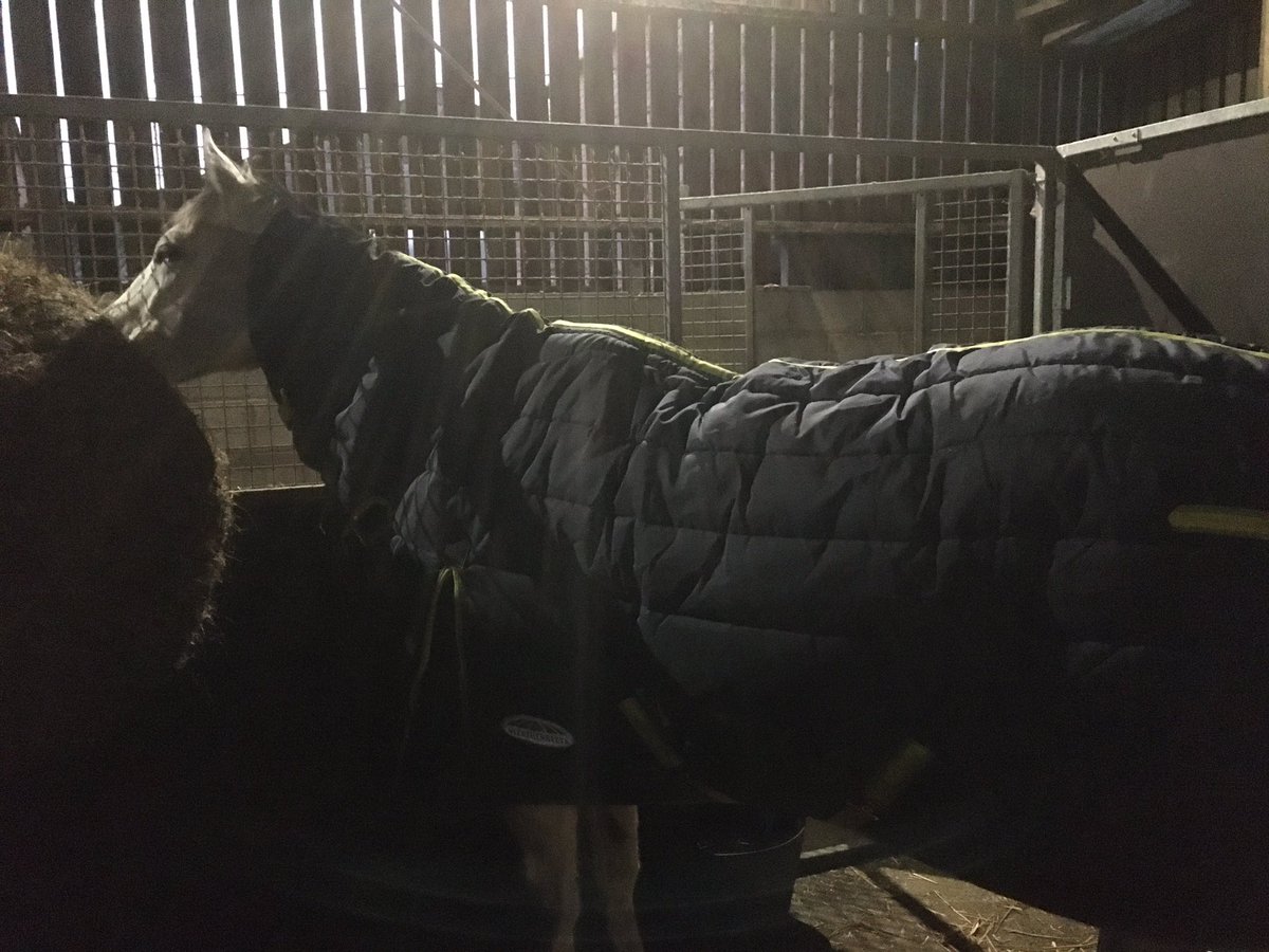 AmyNeave1's tweet photo. All tucked up ahead of a very cold night 🥶🥶🥶🥶 #freezing #cold https://t.co/IEed5WlzXa