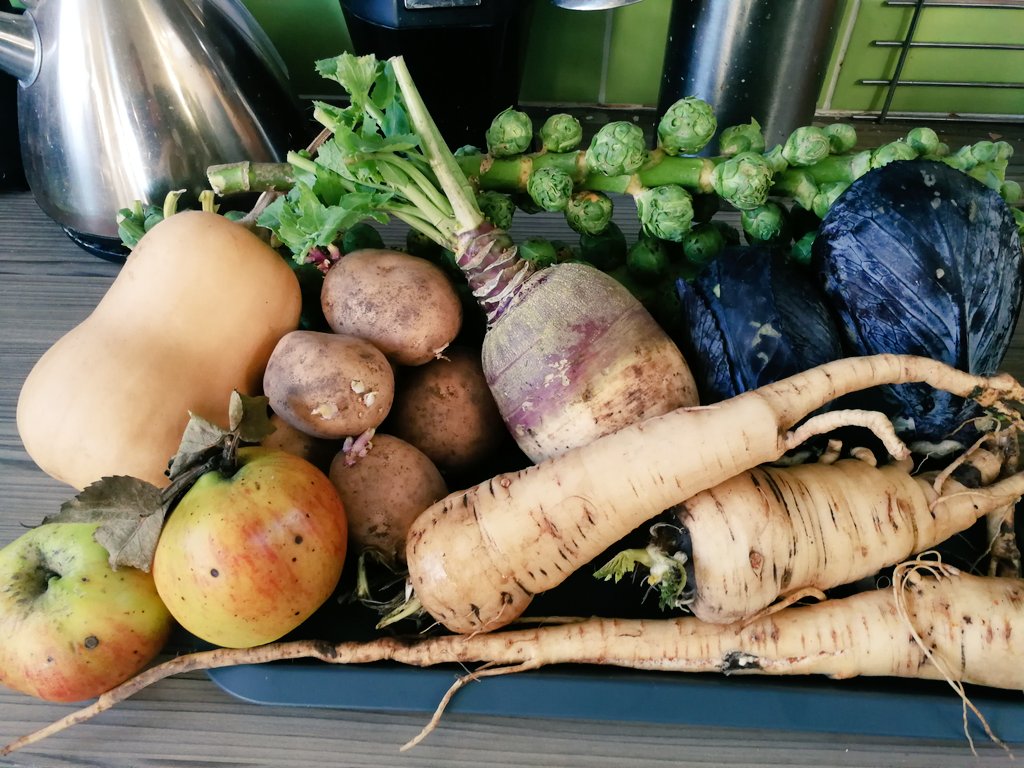 In Lockdown 1 me &amp; Felix planned how we'd grow Christmas dinner. We'd bond over veg whilst furlough &amp; school closures impacted on our lives. He gave up before Easter - the lure of YouTube too great - so I persevered alone. This is just some of the result. Merry Christmas all!