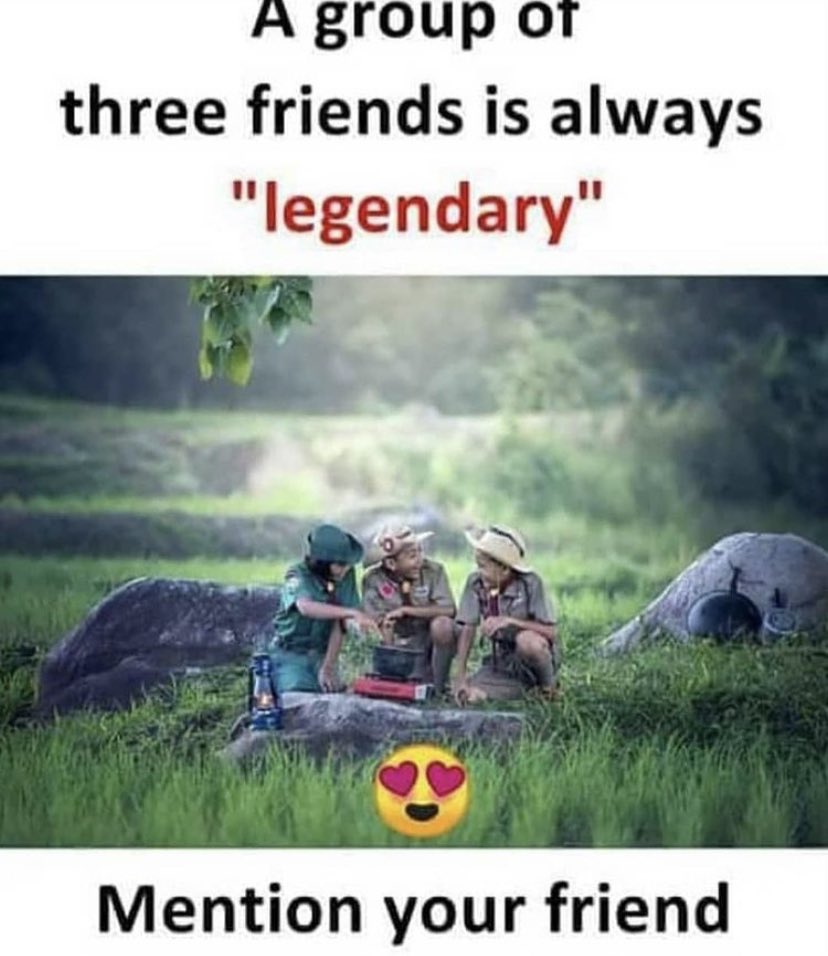 Wholesome Memes tweet media