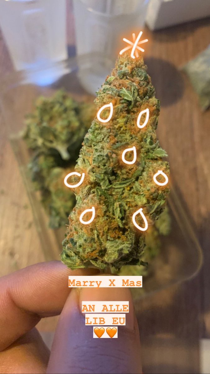 realkidcairo's tweet photo. MARY X MAS 🌲🎁 https://t.co/VsOURBpjB0