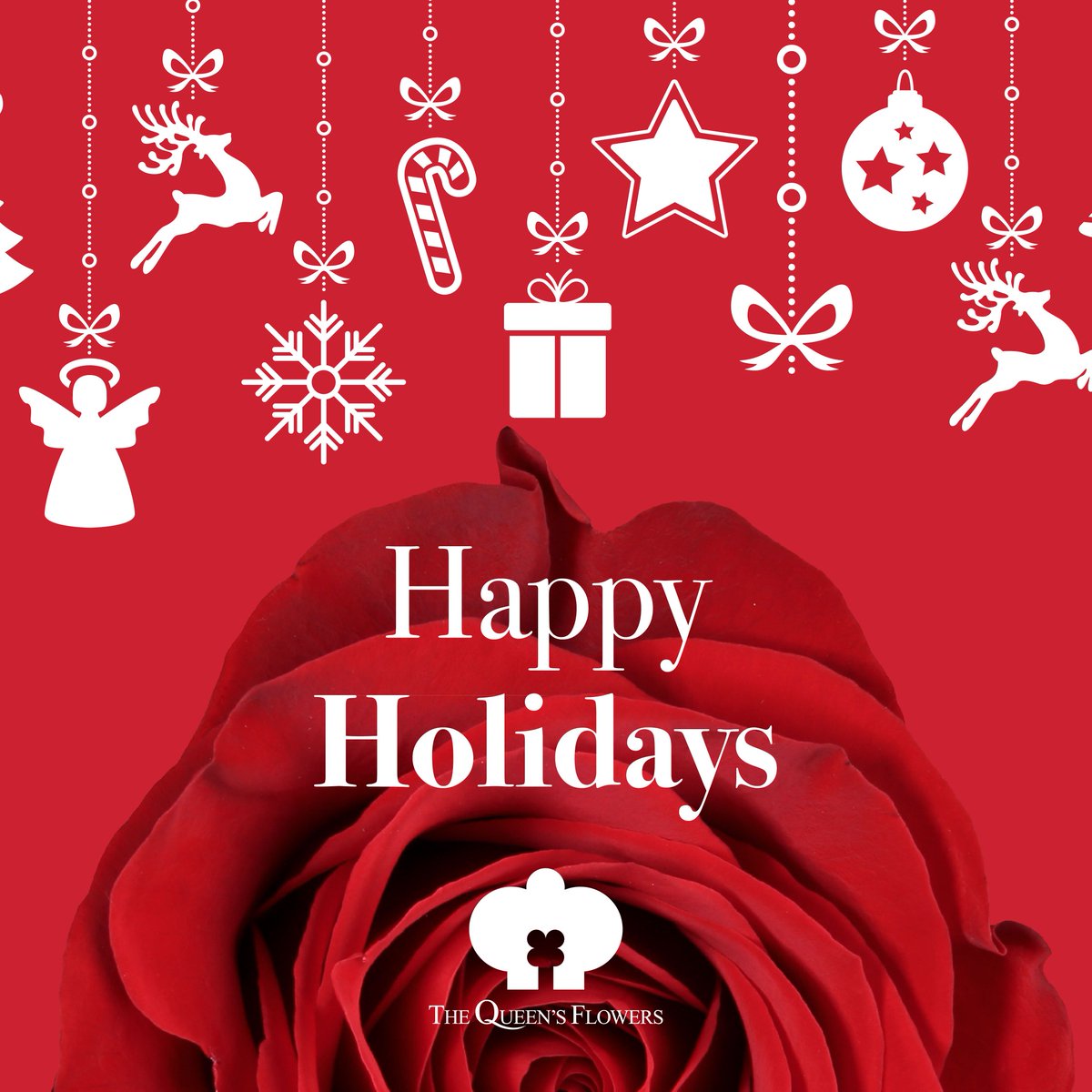 🎄🎅☃️🎁❄🍬💐 #BringHomeFlowers